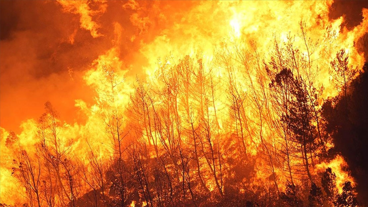 Arap ve Akdeniz ülkelerinden yangınlarla mücadele için ağ oluşturmayı planı