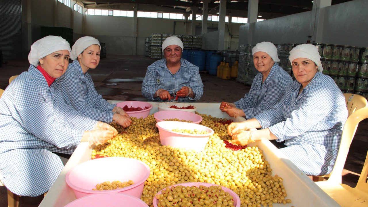 Zeytin ve zeytinyağında verimlilik AB projesi ile artacak