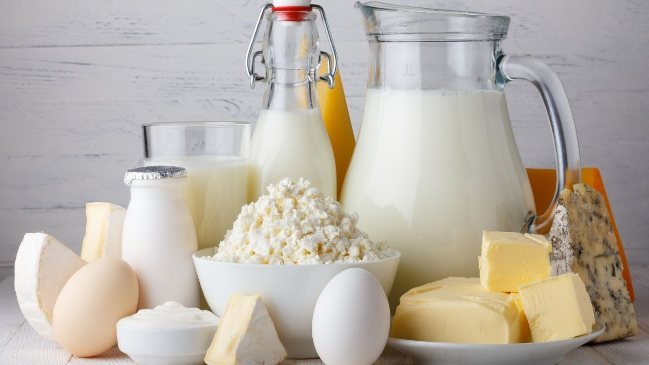 SETBİR Başkanı Coşkun: Yatırımlar peynir, yoğurt, tereyağı ve süt tozu üretimini teşvik edecek