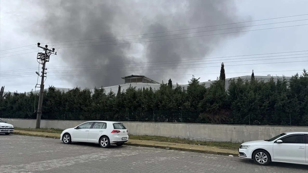 Edirne'de büyük fabrika yangını: Çok sayıda ekip bölgede!