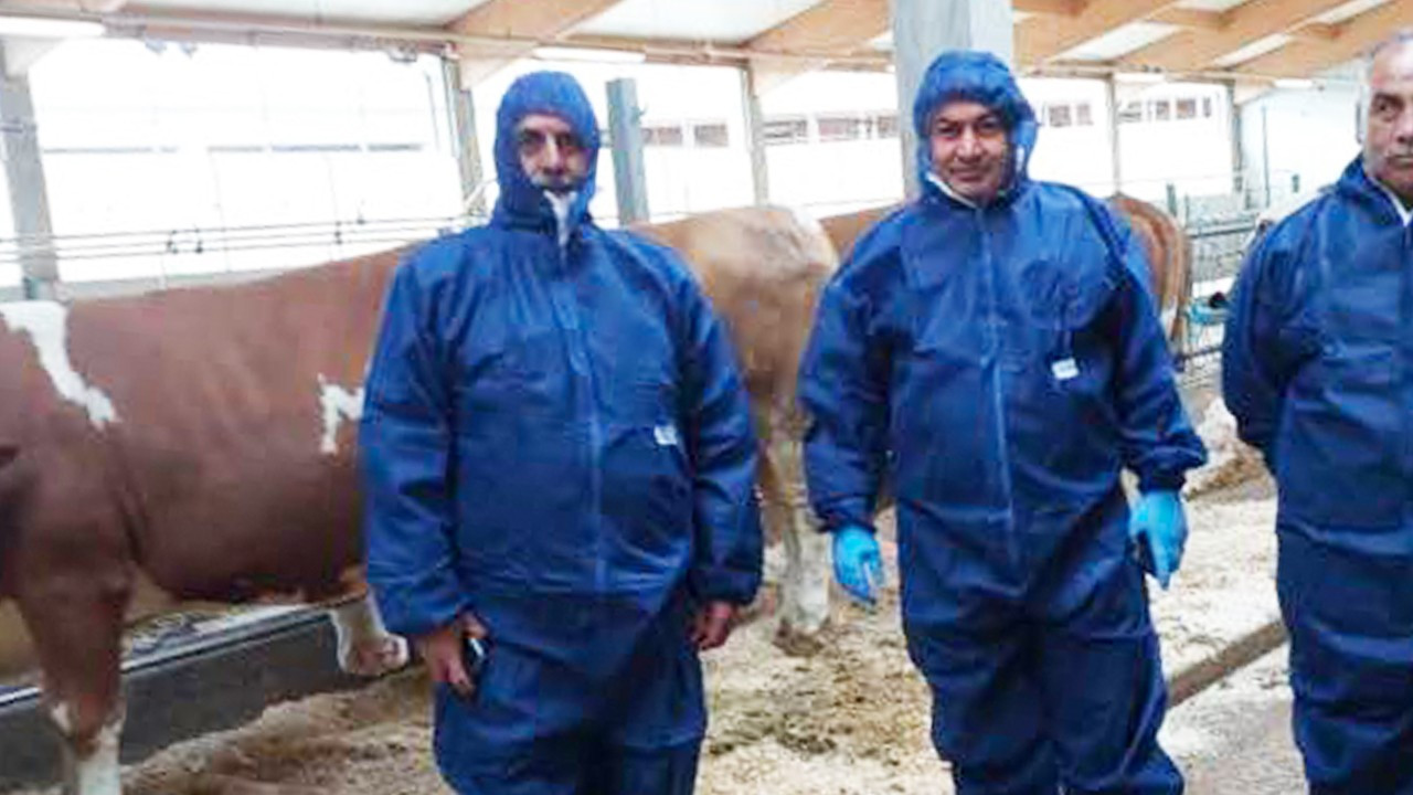 Urfa’da ŞAP salgını kırıldı, mezatların kısa süre içinde açılması bekleniyor