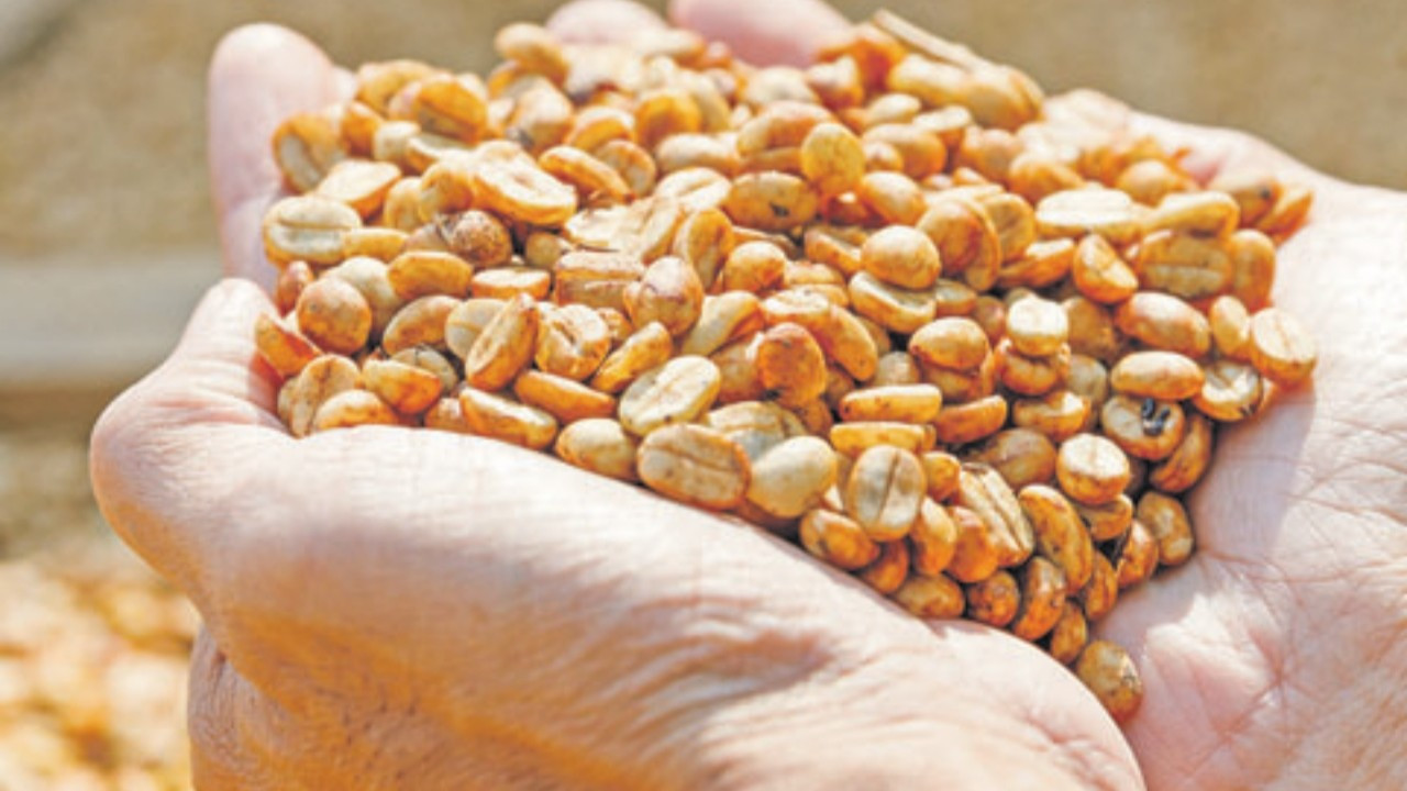 Vergiler tarımda rotayı değiştirecek