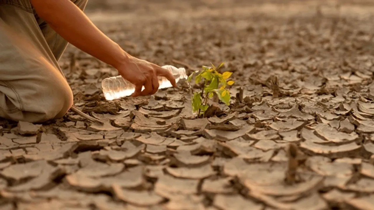 OECD: Kuraklığın insani ve ekonomik maliyeti keskin şekilde artıyor
