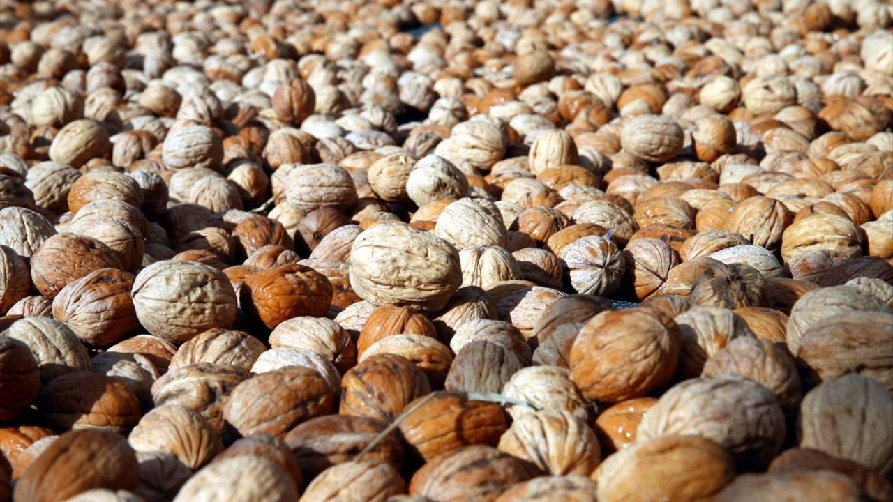 “Çin cevizi, ‘Maraş cevizi’ makyajıyla satılıyor