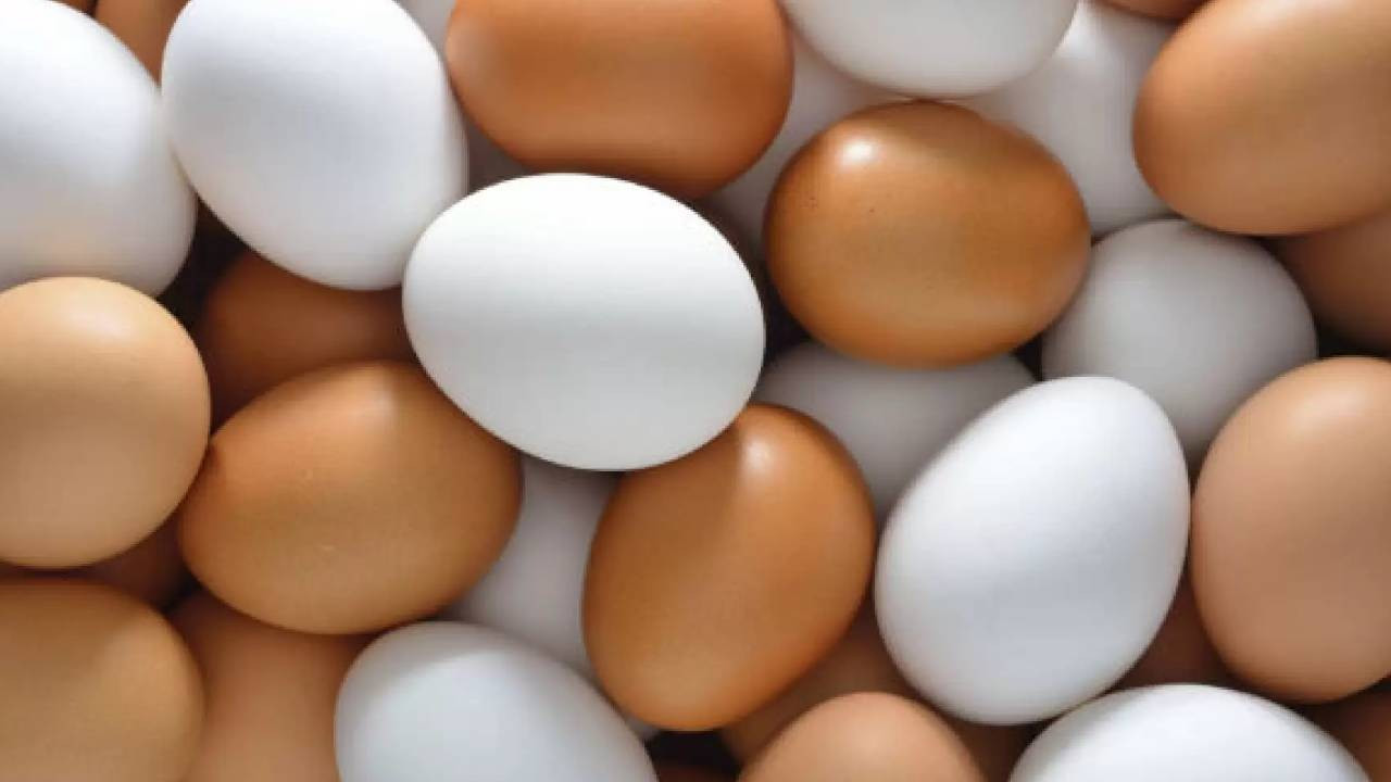 Yumurta fiyatlarında yükselişe karşı ihracatta fon kesintisi artışı