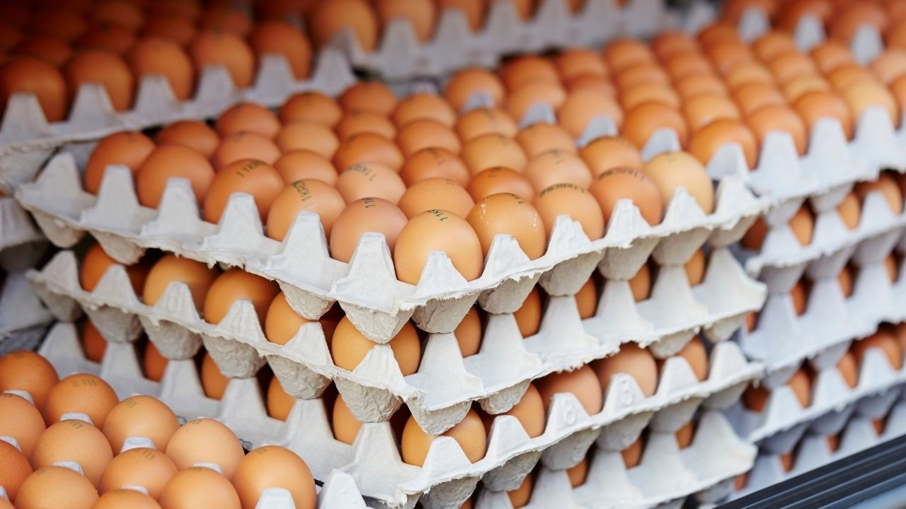 Yumurta ihracatında fon kesintisi piyasa normale dönünceye kadar devam edecek