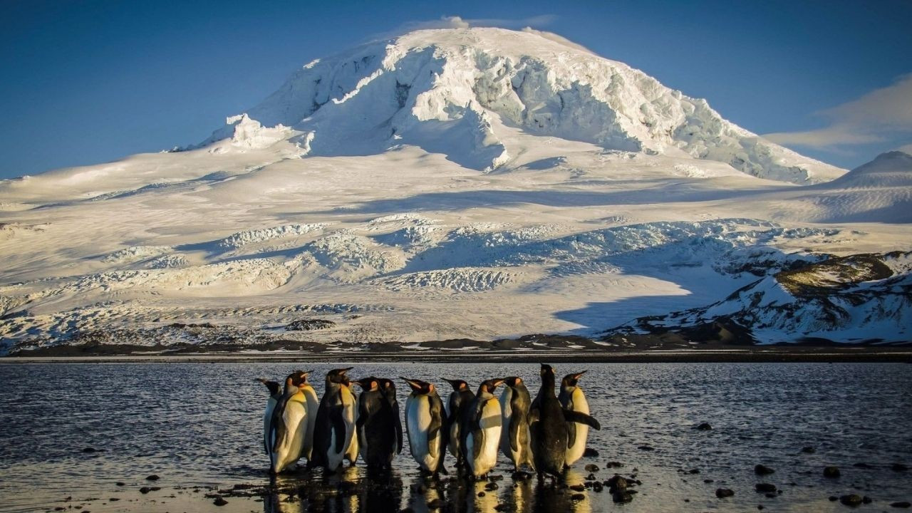 Trump, fok ve penguenlerin yaşadığı dünyanın en ücra yerlerine vergi getirdi