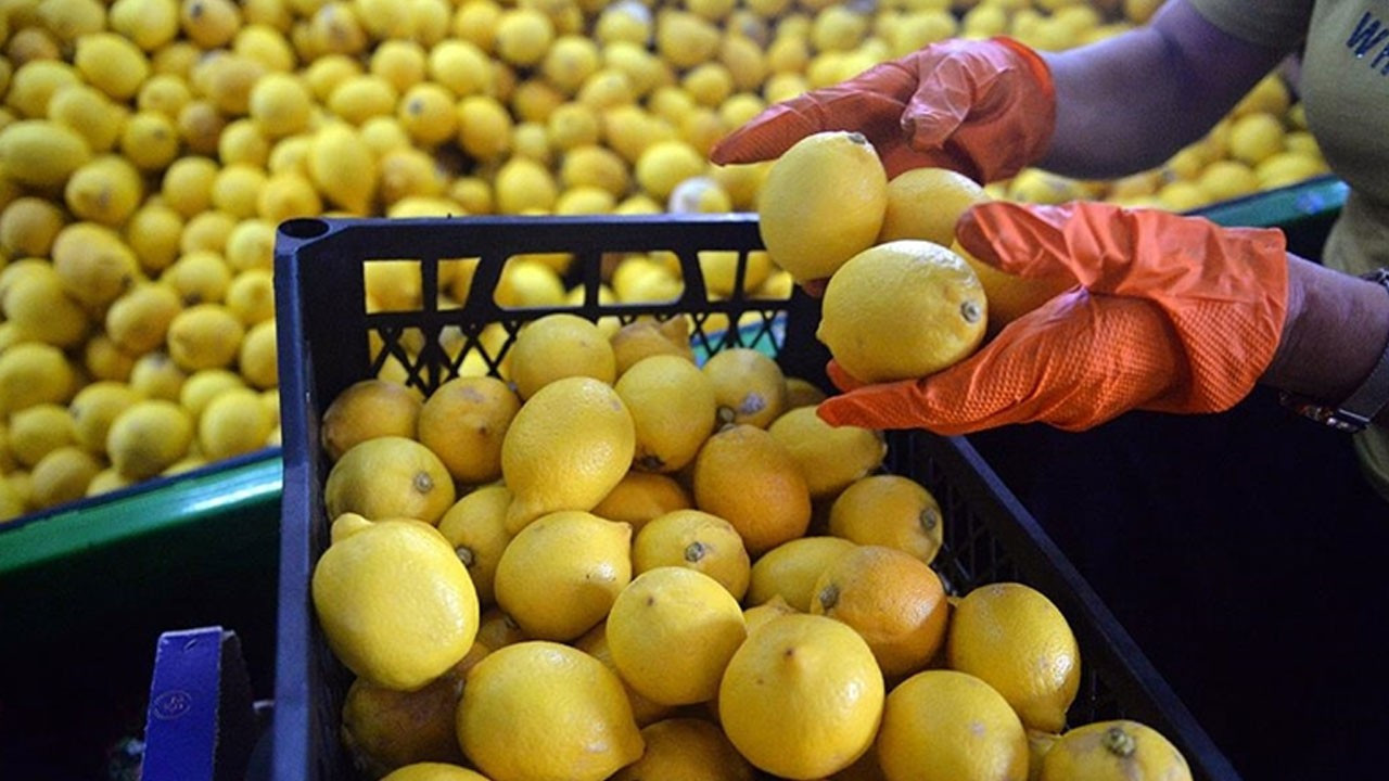 Bakan Bolat duyurdu: Limon ihracatındaki geçici kısıtlama kaldırıldı