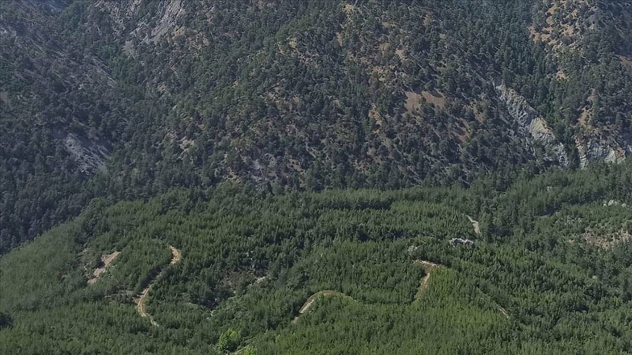 Muğla'da yangın riski yüksek bölgelerde ormanlık alanlara giriş yasağı uygulanacak