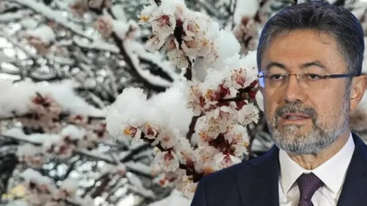 Bakan Yumaklı'dan don açıklaması: Stratejik tarım ürünlerinde risk bulunuyor mu?