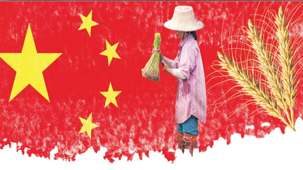 Çin, dünya buğday pazarını sarsıyor