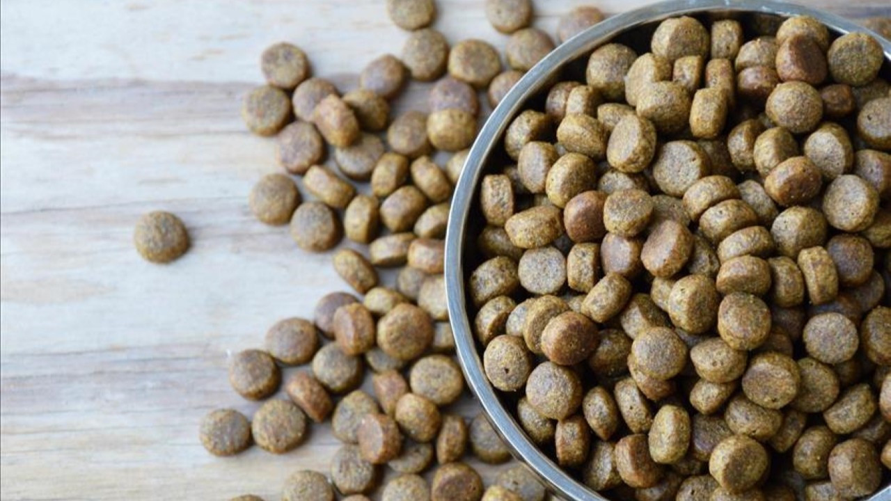 Petfood üretim ve ihracatının yüzde 70’ini Salihli sırtlıyor, üretici KDV indirimi ve ithalata sınırlama istiyor