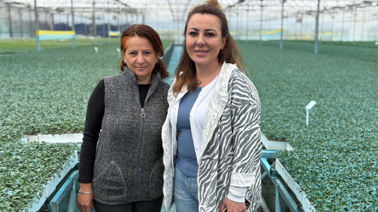 Kadınlar kooperatifle toprağa döndü, kırsalda katma değer yarattı