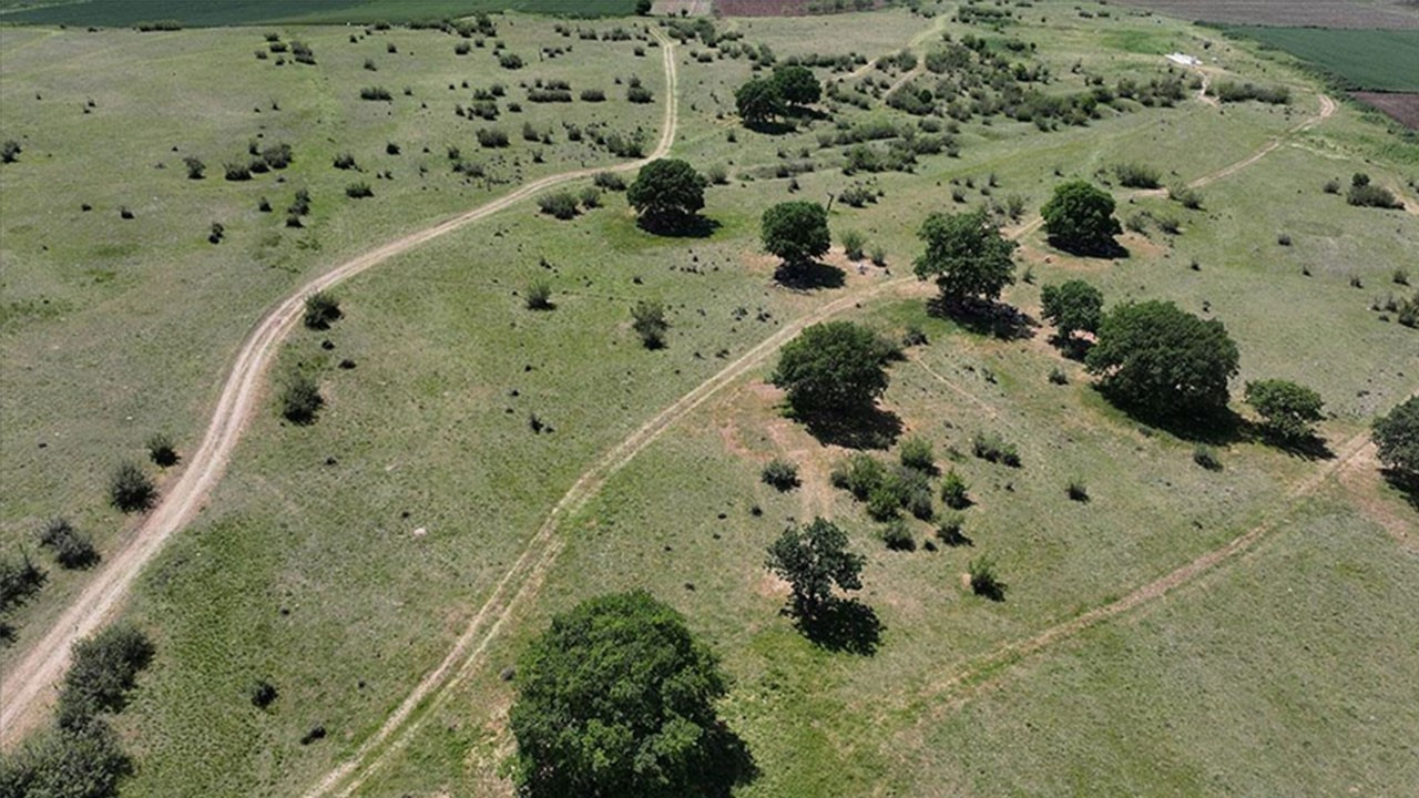 Edirne Valisi Sezer: Edirne'de meraların belli bölümlerinde sulamalı sisteme geçilecek