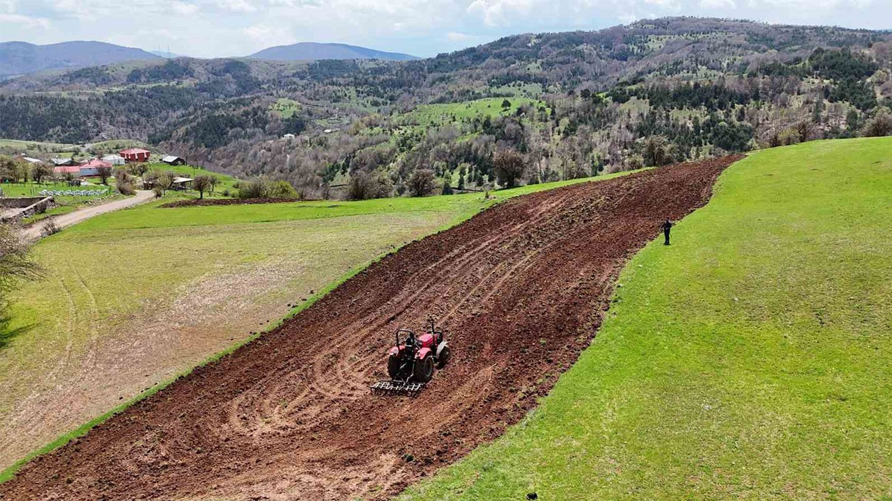 Ordu’nun 34 bin 800 dekar atıl arazileri tarıma kazandırıldı