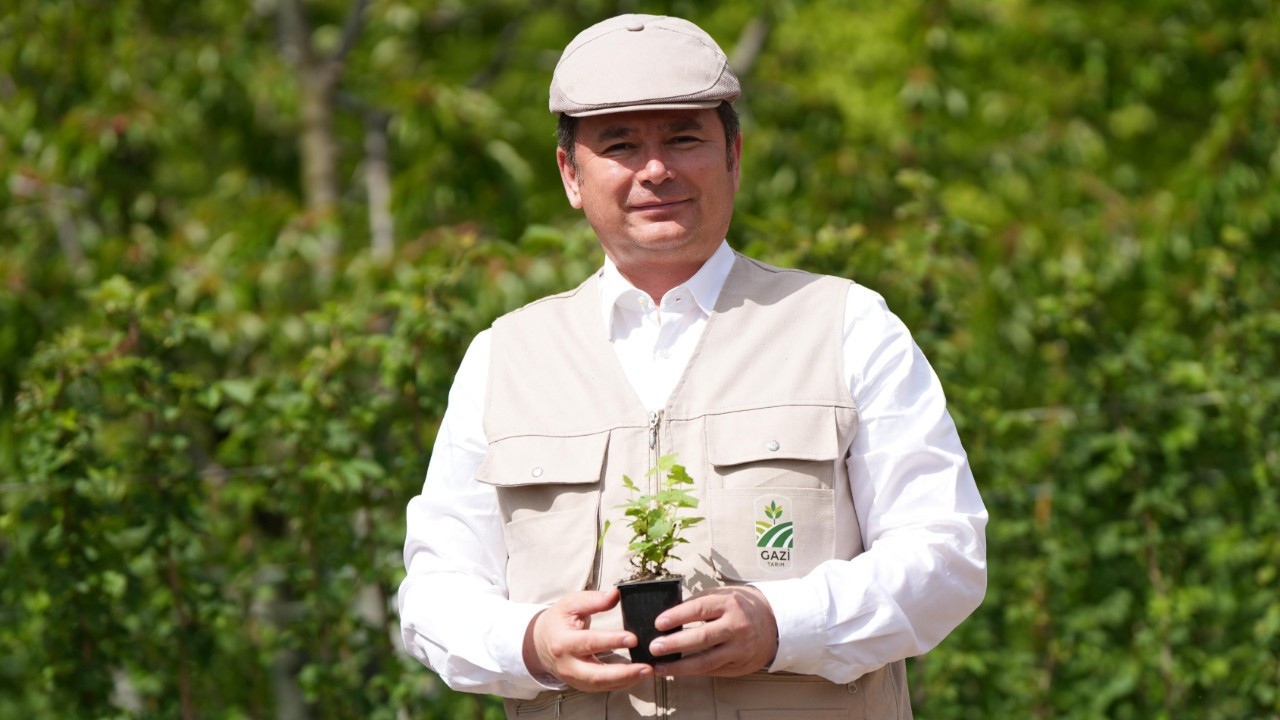 Osmangazi’nin ‘Dağ Bölgesi’ ahududu yetiştiriciliğinde öne çıkacak