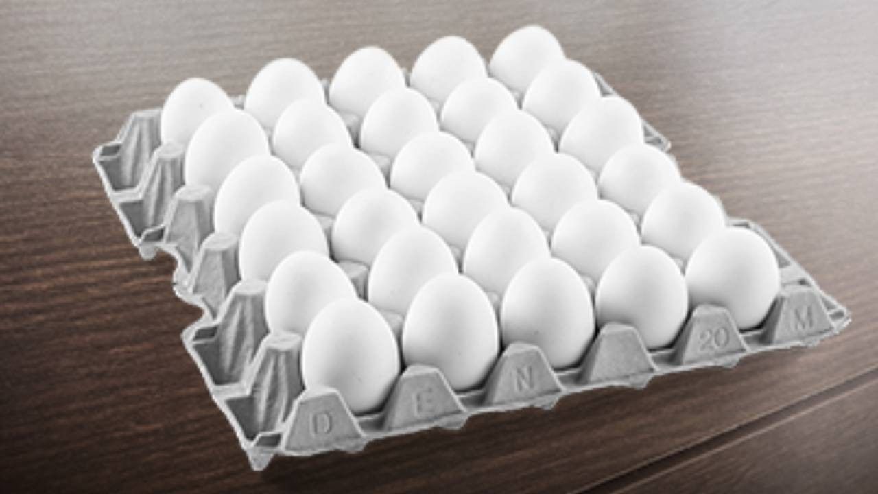 Yumurta fiyatları düşüşte: 30’lu kolinin fiyatı ne kadar oldu?