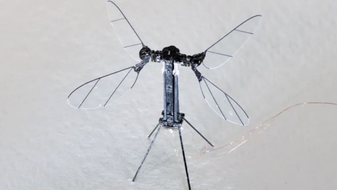 Çin’den mikro drone devrimi: Sivrisinek kadar küçük, savaşta etkisi büyük