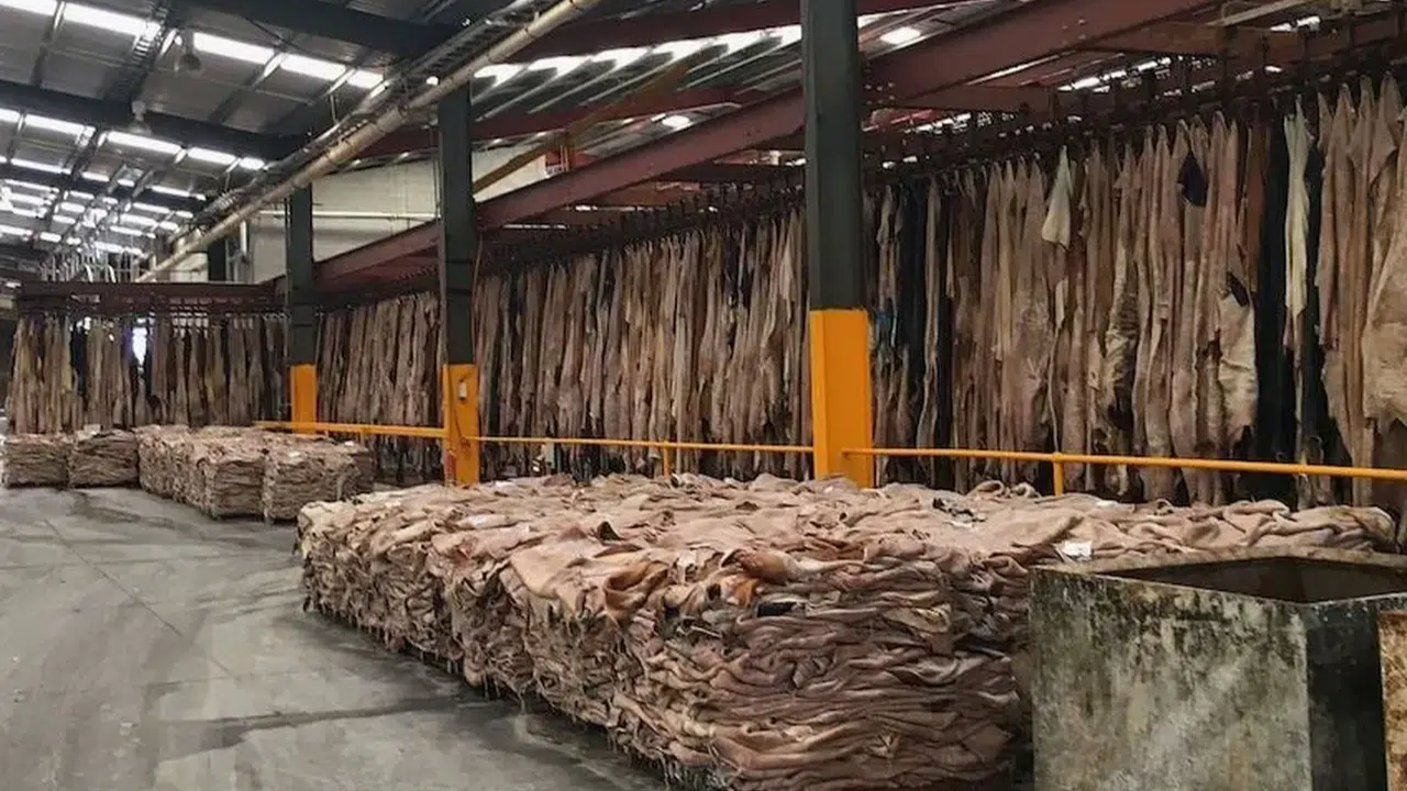 38 yıllık Türk deri üreticisi konkordato talebinde bulundu