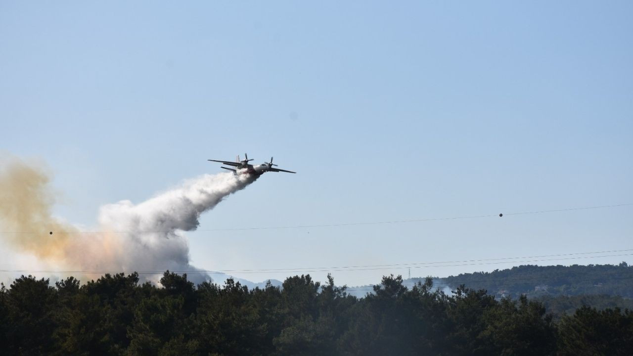 DMM, İzmir'deki orman yangının "kasten çıkarıldığı" iddiasını yalanladı