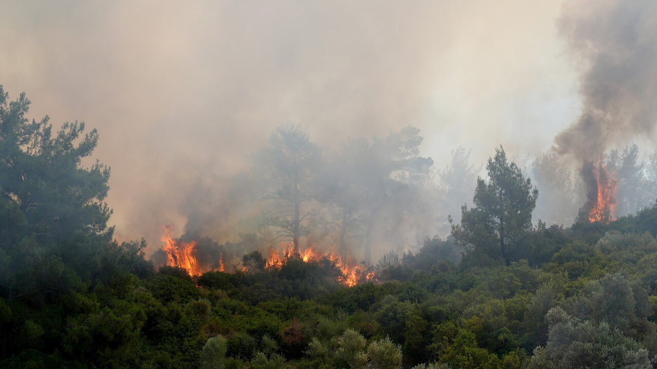 AFAD’dan yangın mağdurlarına hane başına 162 bin lira yardım: Açıklama yapıldı