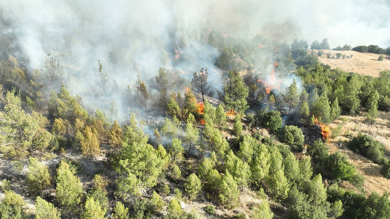 Bakan Yerlikaya duyurdu: Yangından etkilenenlere 21 milyon 603 bin 400 lira ödeme yapıldı