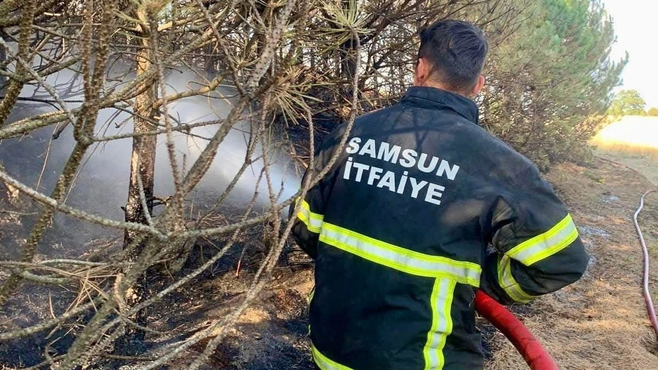 Samsun’da 6 ayda 263 orman ve anız yangını çıktı
