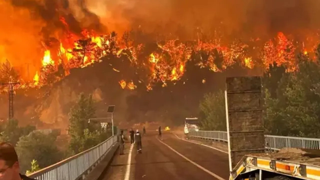 Eskişehir'de orman yangını faciasıyla ilgili soruşturma başlatıldı