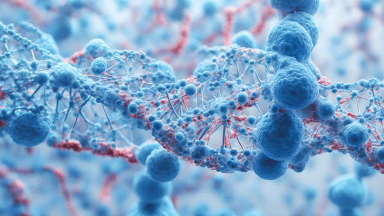 Araştırma: Enfeksiyon belirtisi olan kişileri görmek dahi bağışıklık sistemini harekete geçiriyor