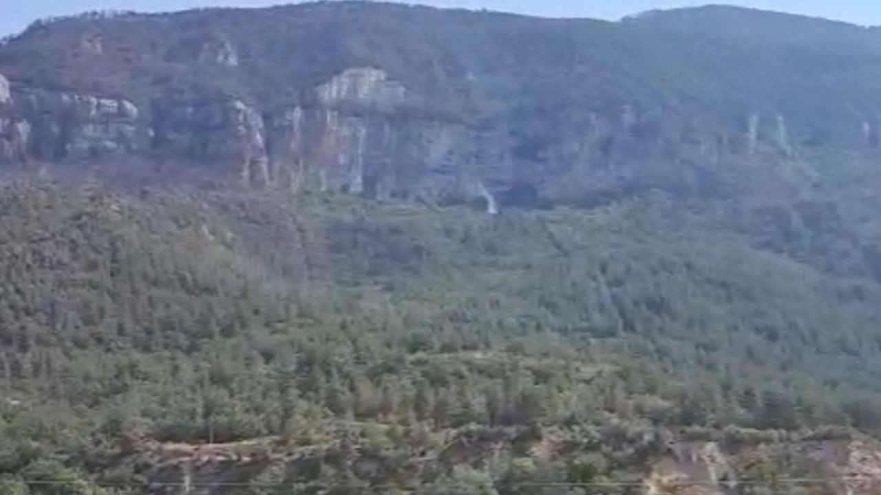 Gazetecilerin ihbarı orman yangınını önledi! Karabük’te faciadan dönüldü