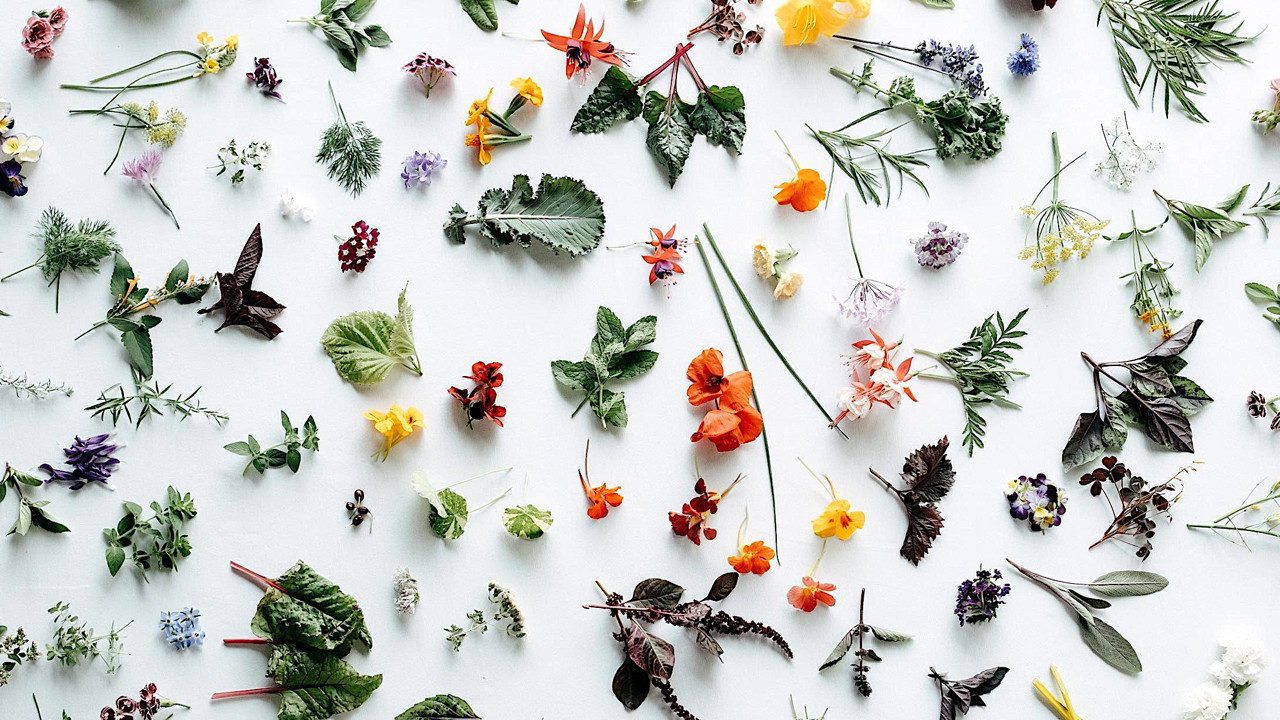 Zeytinliklerin gölgesinde bir gastronomi masalı