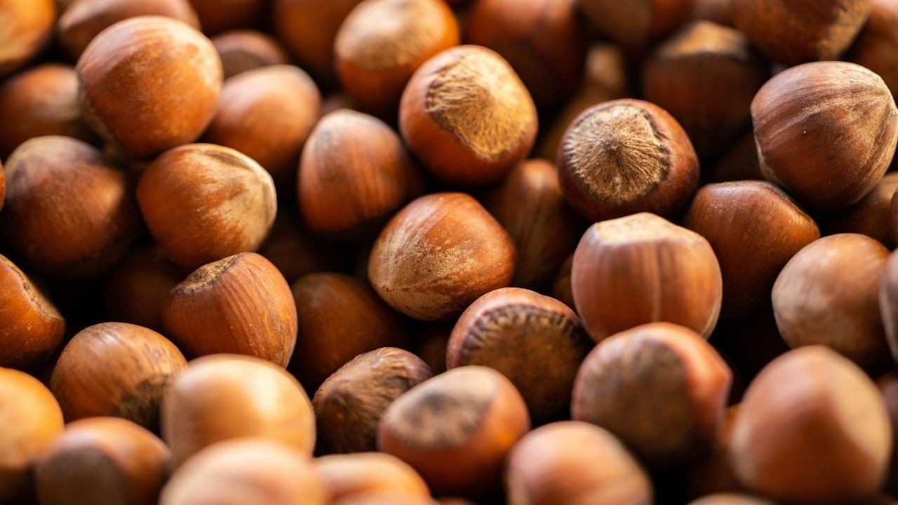 TMO’dan fındık üreticisine uyarı: Erken hasattan kaçının, fiyatın altına satmayın