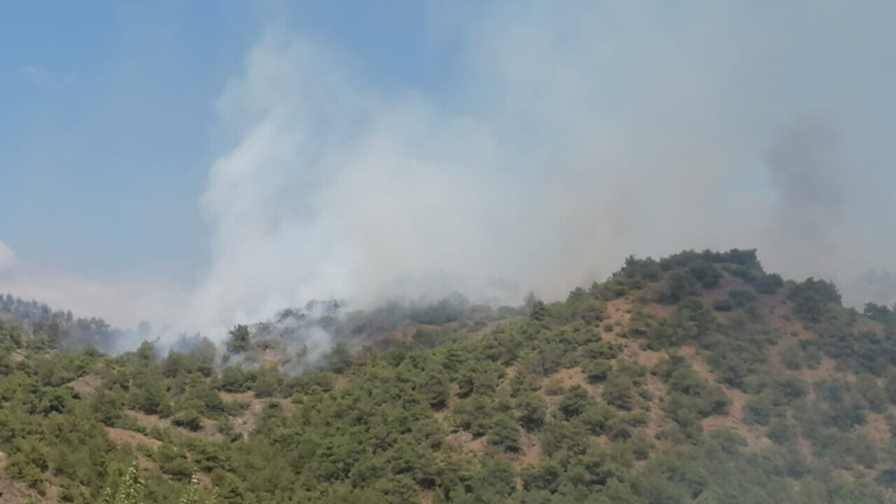 Tokat’ta orman yangını: Ekipler müdahale ediyor Tokat’ta orman yangını: Ekipler müdahale ediyor