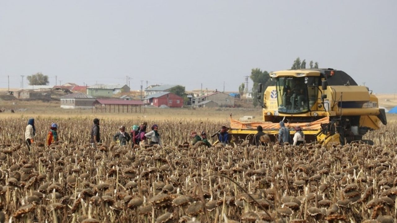 DMM: Mevsimlik tarım işçilerine sağlanan destekler artırıldı