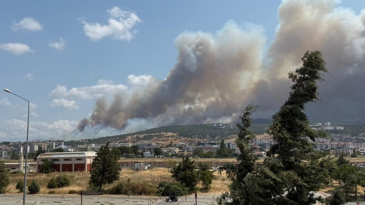 Son dakika: Çanakkale alev alev yanıyor! Havalimanı uçuşa kapatıldı -  Ekonomim