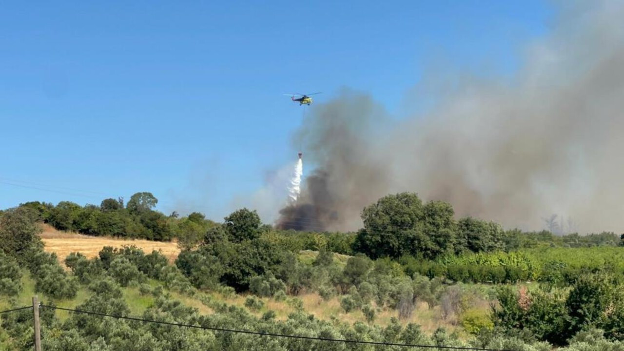 Çanakkale’de orman yangını: Ekipler yoğun şekilde müdahale ediyor Çanakkale’de orman yangını: Ekipler yoğun şekilde müdahale ediyor