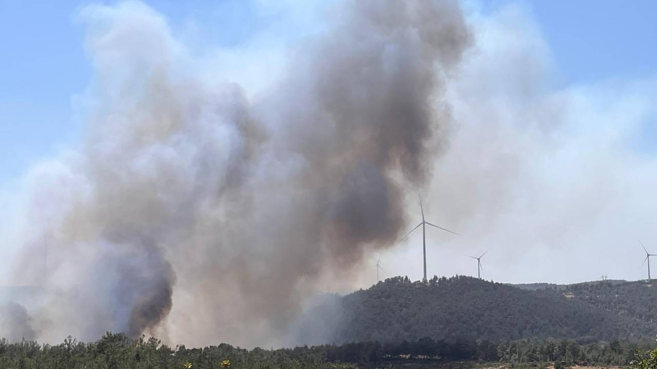 Çanakkale yanıyor: Bir orman yangını daha (Video)