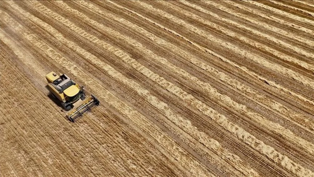 Tarım sayımında 450 binden fazla üretici kayıt altına alındı