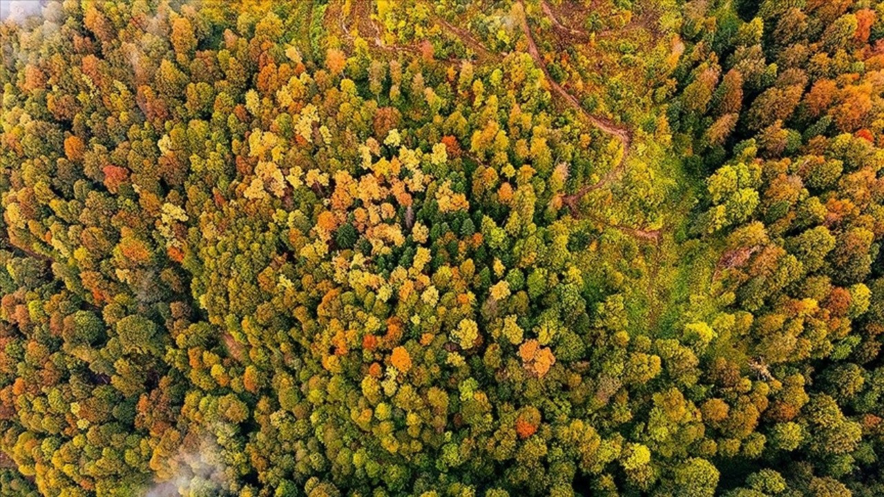İklim Kanunu’nda 'adil geçiş' yetersiz