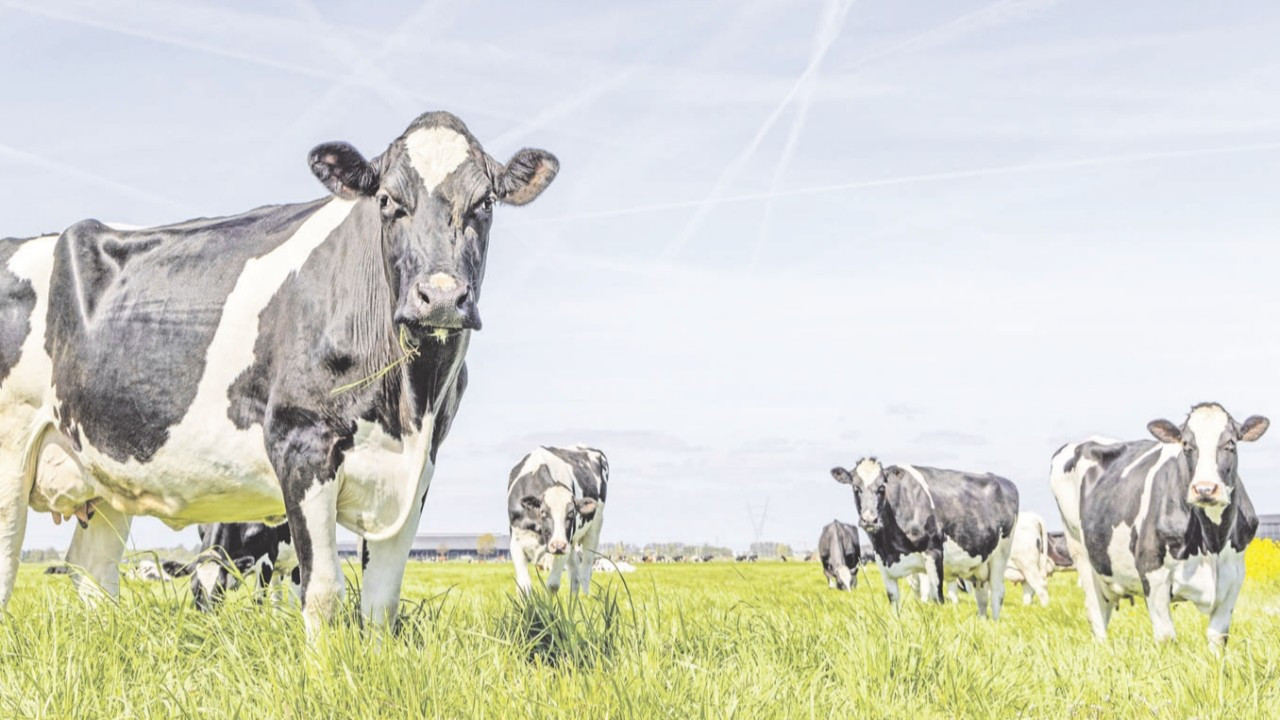 İl bazında teşvikli projeler netleşiyor