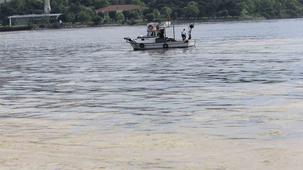 Marmara balıkçılarına müsilaj desteği sağlanacak