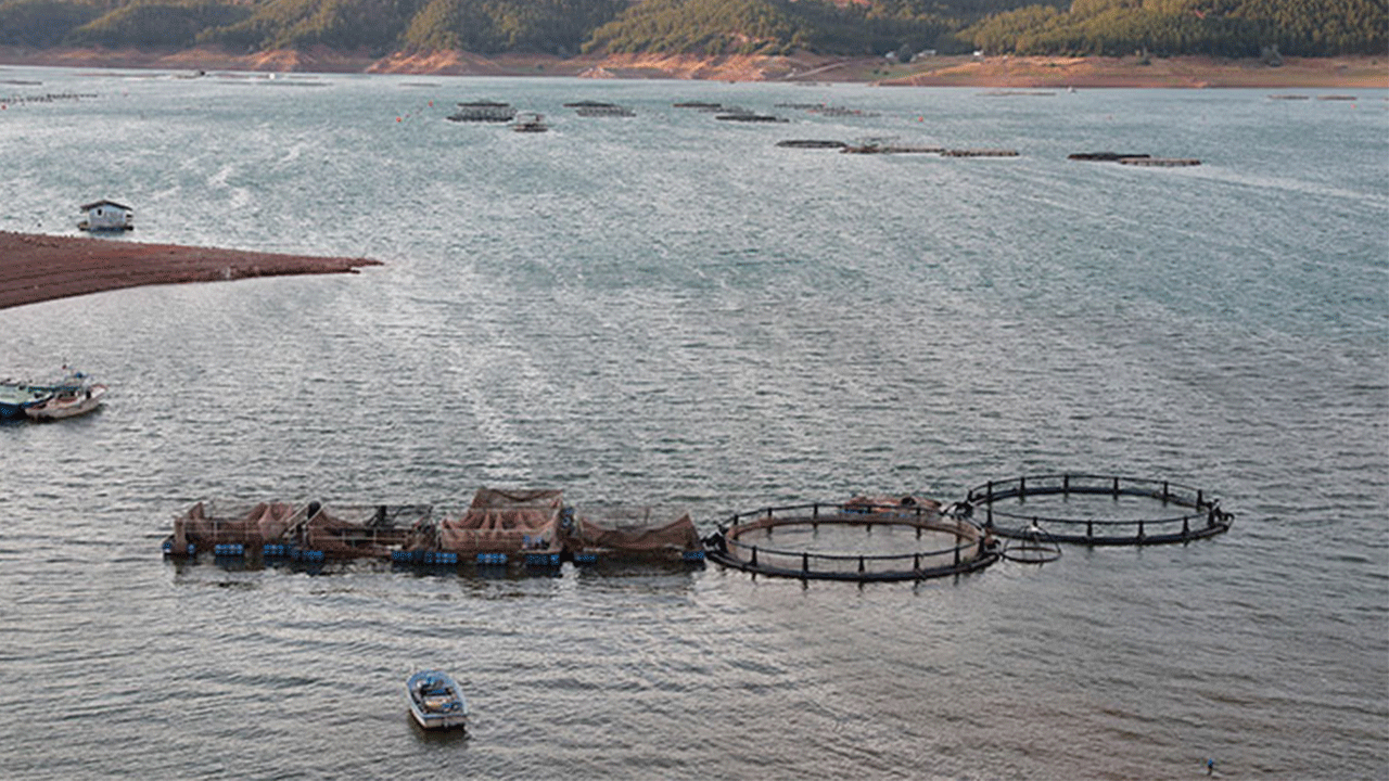 Tokat’tan dört ülkeye balık ihracatı gerçekleştirildi