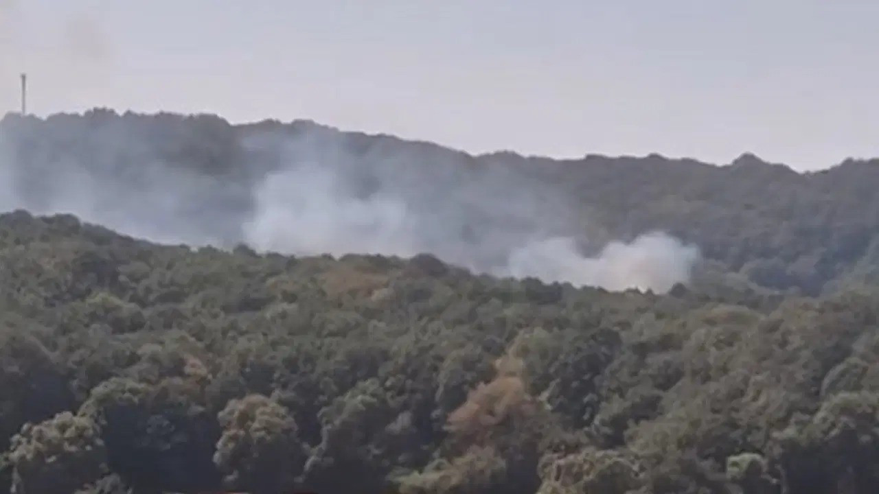İstanbul'da orman yangını: Ekipler havadan ve karadan müdahale ediyor İstanbul'da orman yangını: Ekipler havadan ve karadan müdahale ediyor