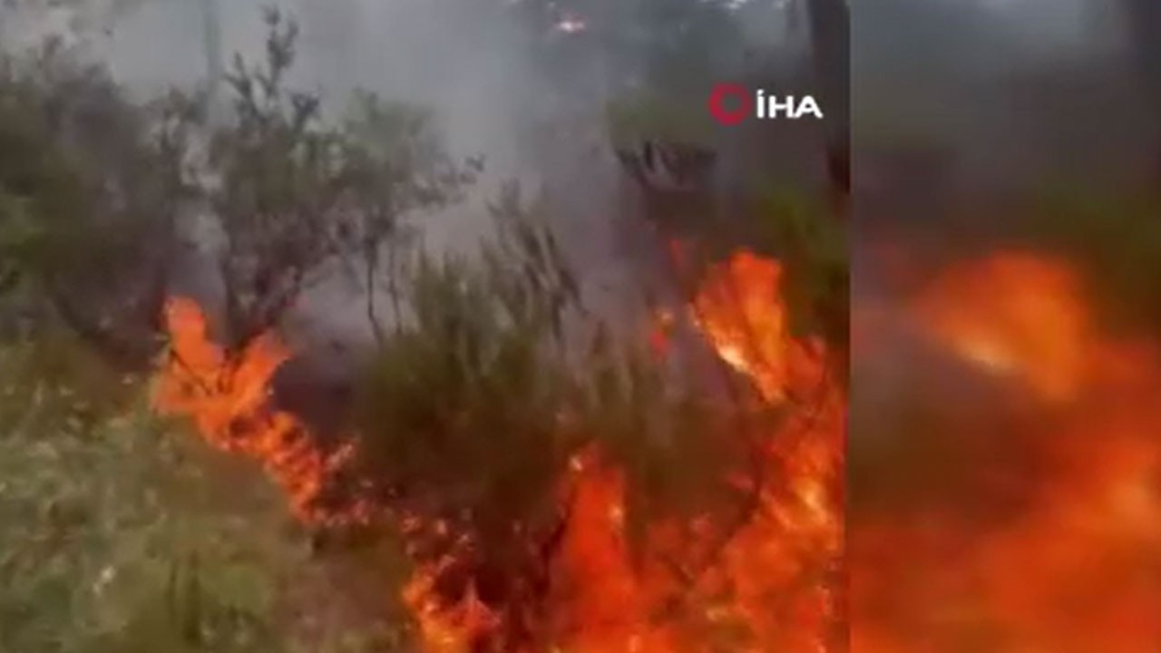 Ataşehir Kayışdağı ormanında yangın Ataşehir Kayışdağı ormanında yangın