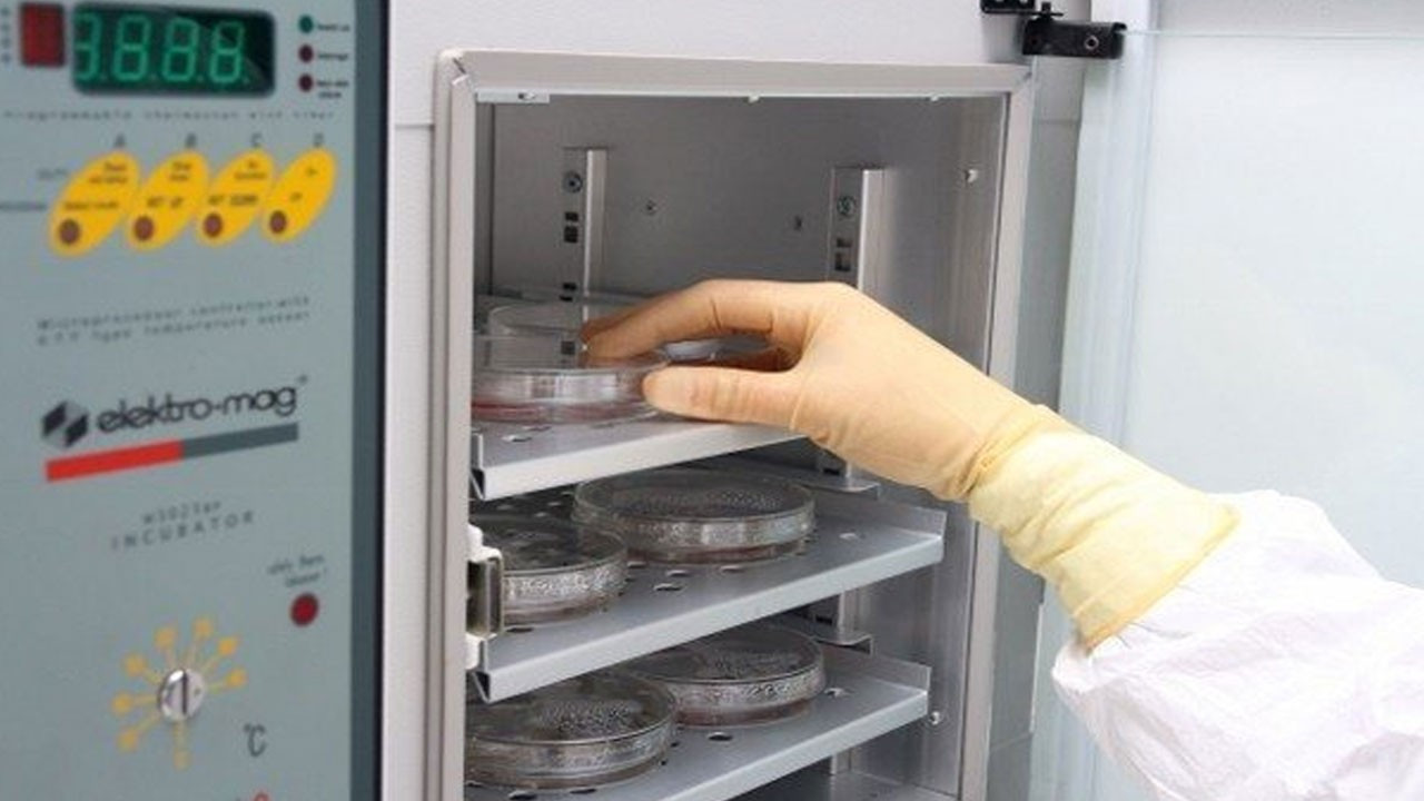 "Ulusal Doku ve Hücre Bankacılığı" kuruluyor! Resmi Gazete'de yayımlandı