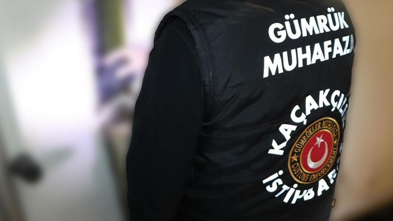 Gümrükte nesli tehlike altında olan şahin ile makak maymunu ele geçirildi