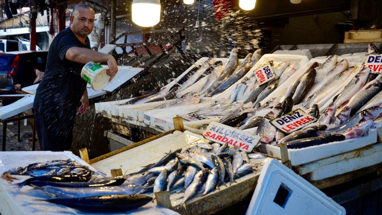 Av sezonu başladı, balıkçılar dertli... Tezgahlarda son durum ne?