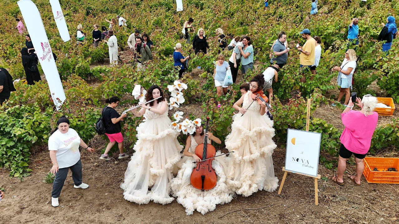 Avşa Adası: Sessizliğin, üzümün ve sofranın hafızası