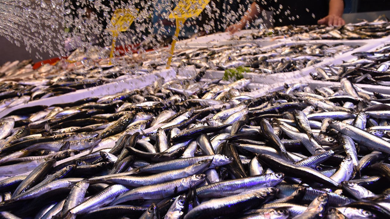 Trabzon'da hamsinin kilogramı 200 liradan satılıyor