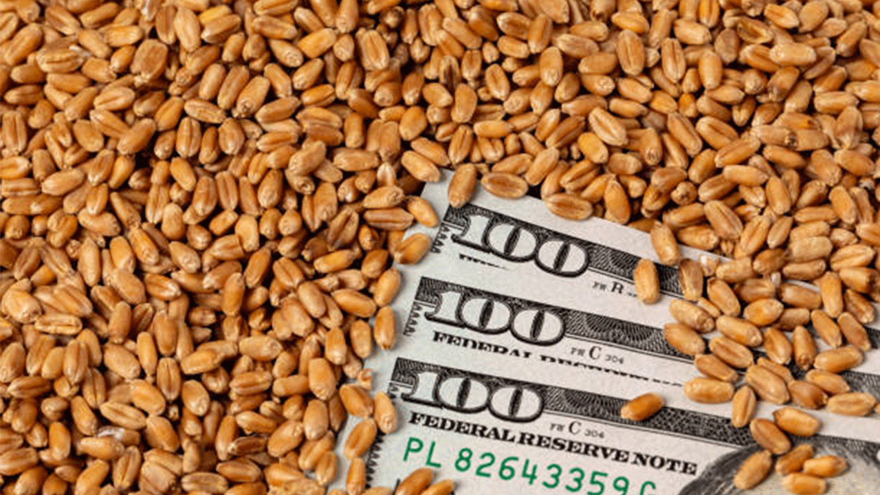 Güneydoğu’dan 2 ayda 552,8 milyon dolarlık hububat ihracatı